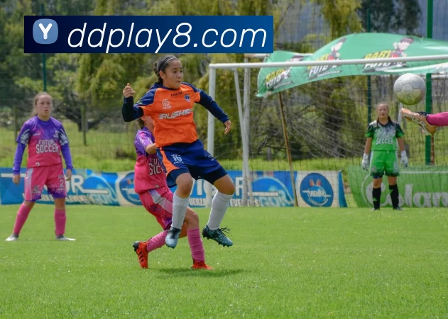 鼎点娱乐官网发展历程